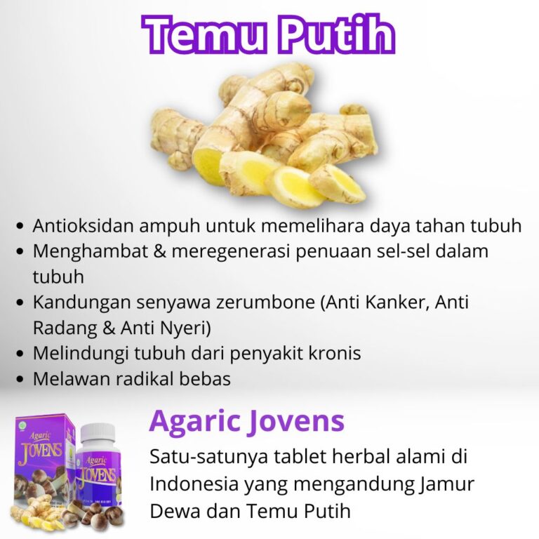 Manfaat Temu Putih