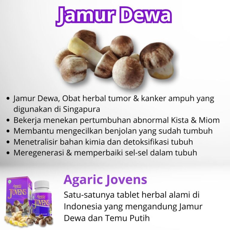 Manfaat Jamur Dewa