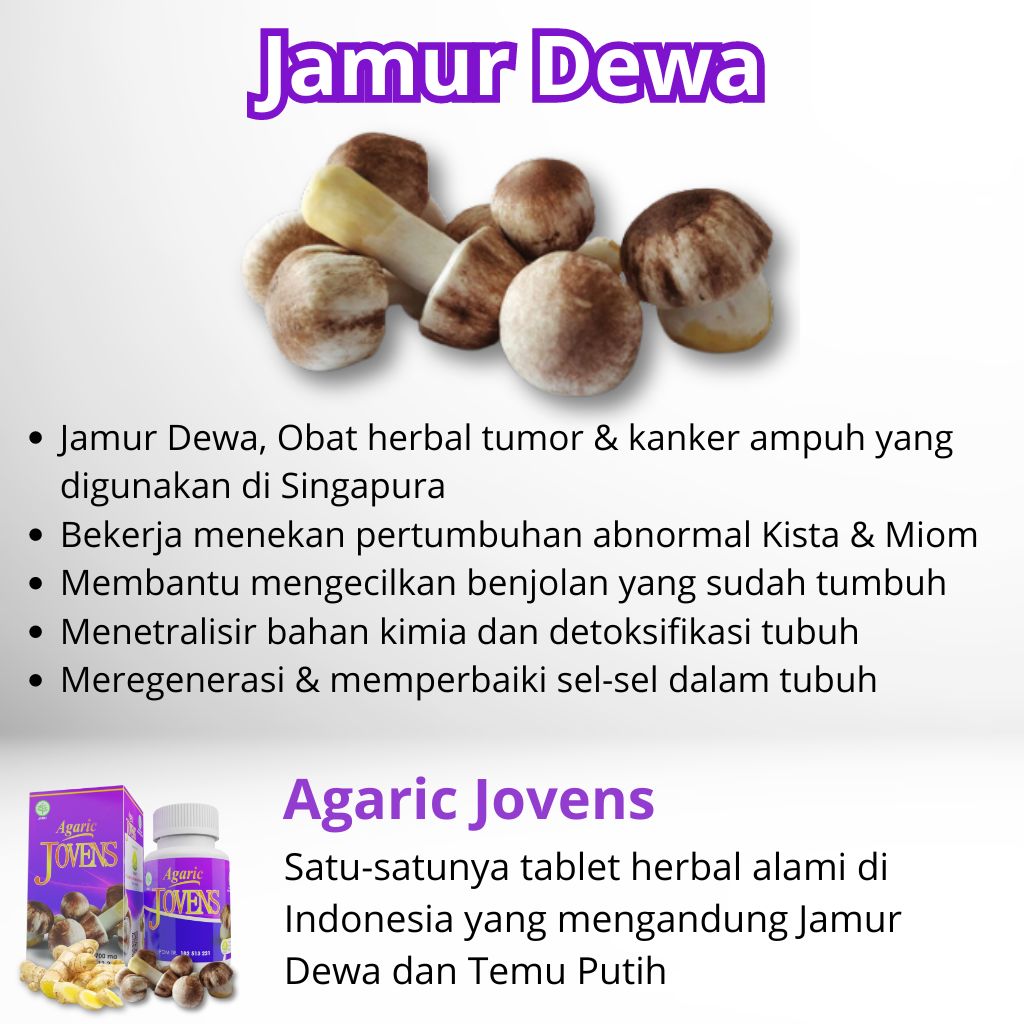 Manfaat Jamur Dewa