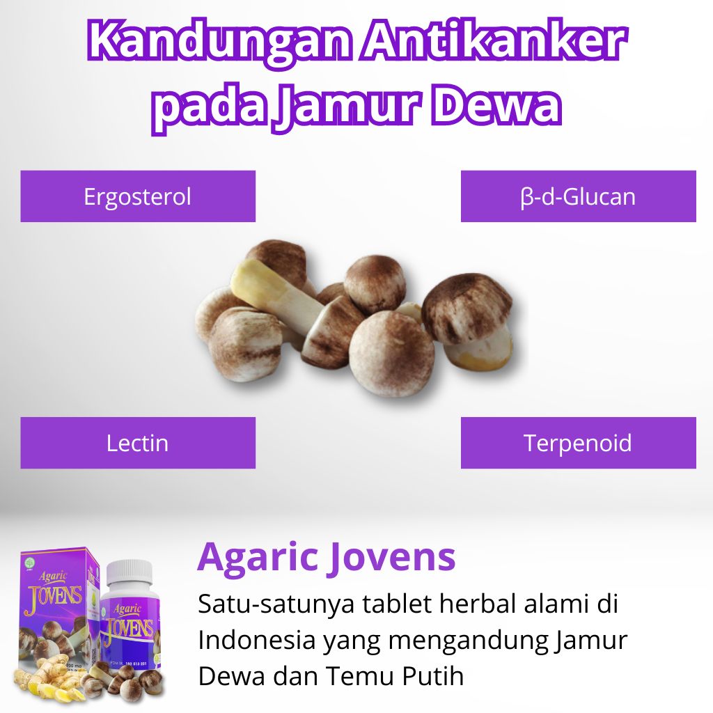 Kandungan Antikanker pada Jamur Dewa