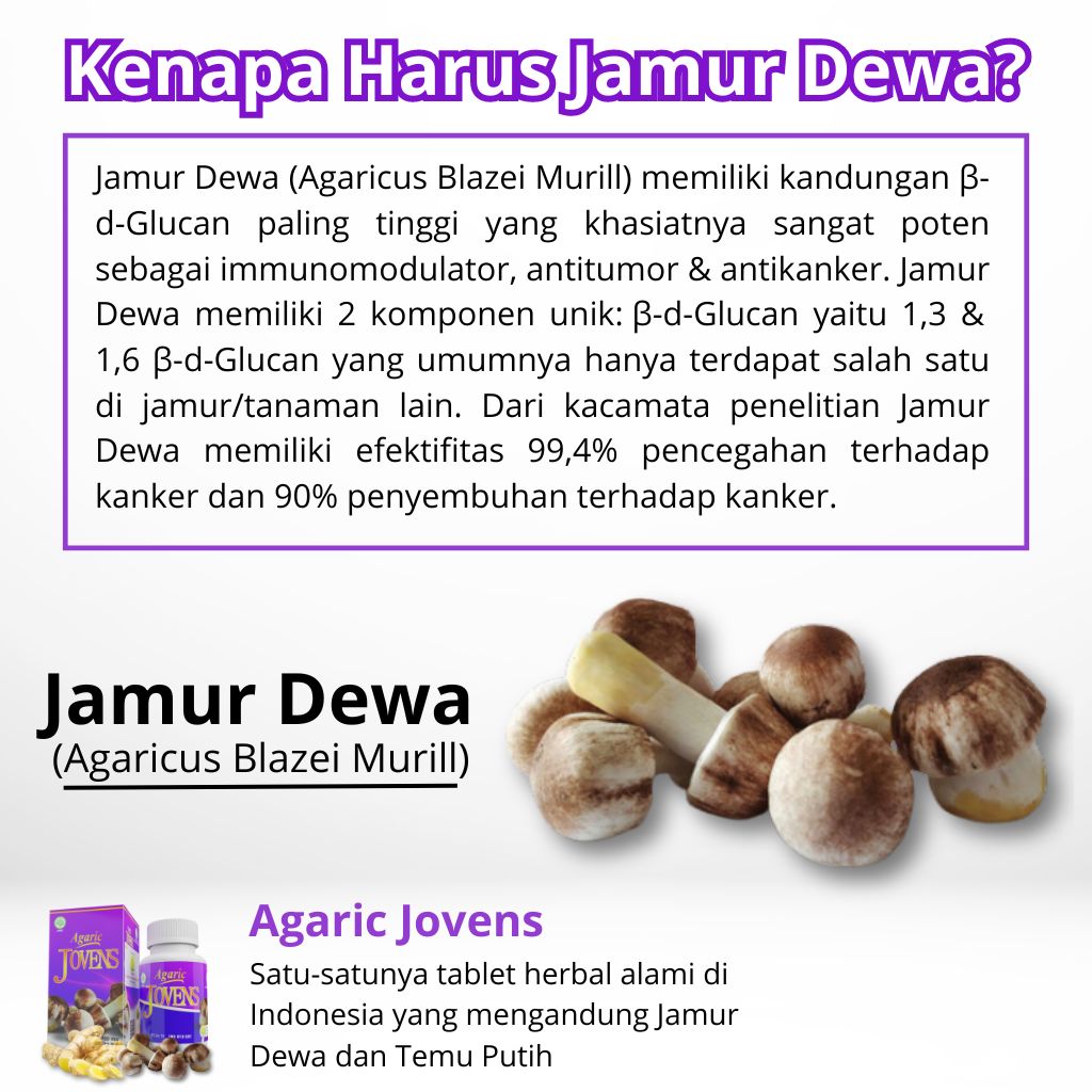 Manfaat Jamur Dewa