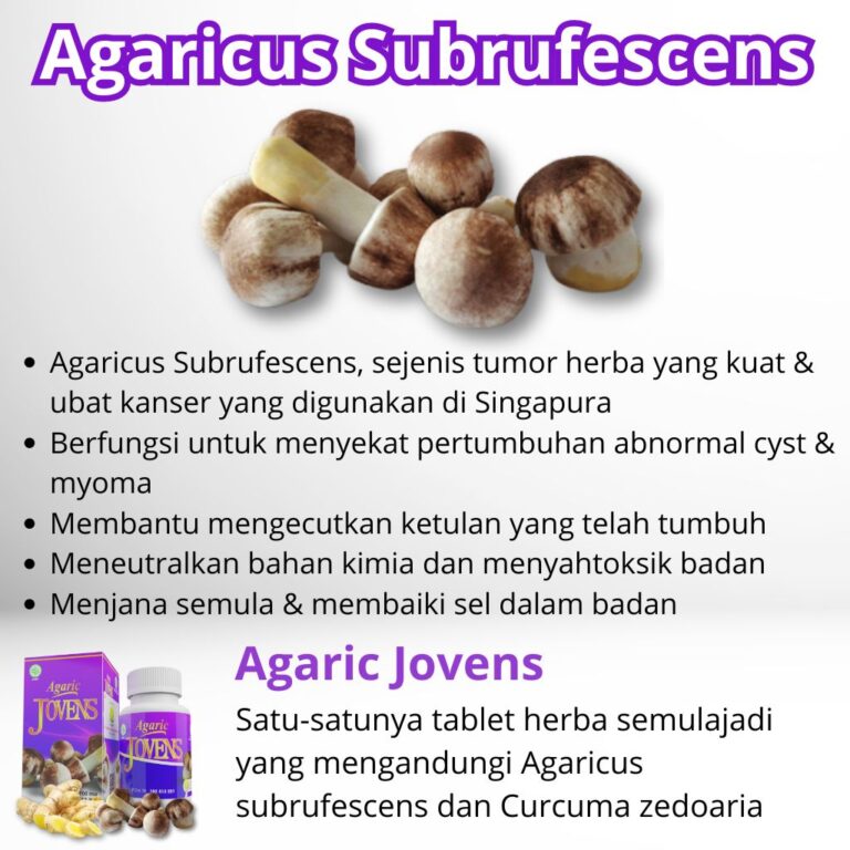 Cendawan Agaricus