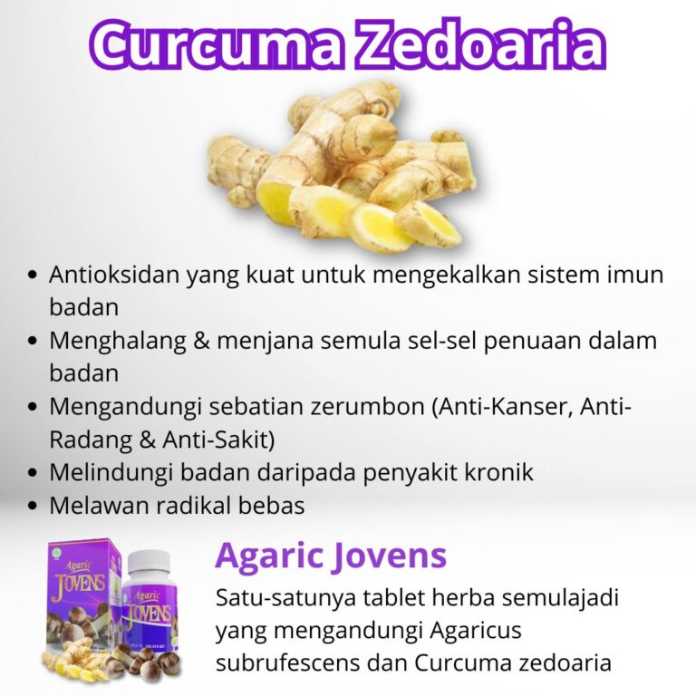 Curcuma Putih