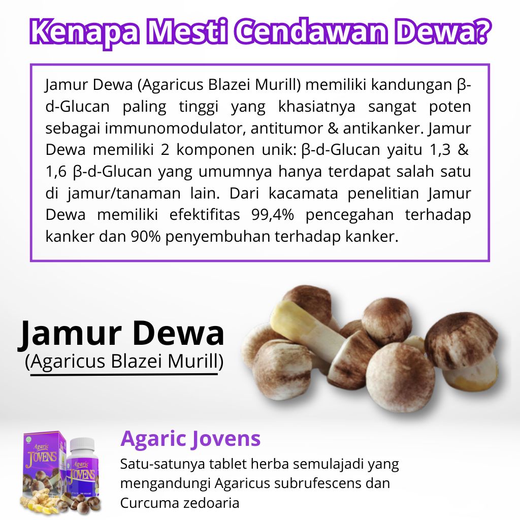 Mengapa Mesti Cendawan Dewa